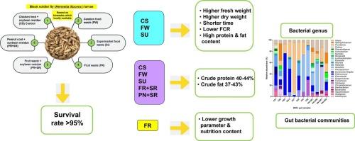 Assessment of growth performance and gut bacterial communities of black soldier fly larvae reared on biowaste