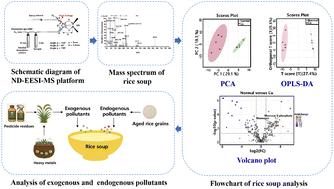 Rapid identification of high-viscosity rice soup quality using neutral desorption extractive electrospray ionization mass spectrometry†
