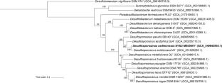 Desulfosporosinus sediminicola sp. nov., an acidophilic sulfate-reducing bacterium isolated from acidic sediments of a disused iron mine site