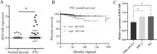 LncRNA HOTAIR promotes cell proliferation and migration in papillary thyroid carcinoma cells by sponging miR-206/c-Met axis