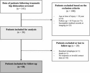 Long-term outcomes of traumatic hip dislocation: a minimum 10-year follow-up study in 18 patients