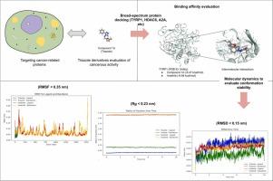 Molecular docking and dynamics simulations of 4-heteroarylidenamino-4,5-dihydro-1H-1,2,4-triazol-5-one derivatives as potential anticancer agents