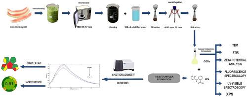 Sustainable upcycling of watermelon peels into a nanosensor for the selective detection of mefenamic acid, a nonsteroidal anti-inflammatory drug with antioxidant properties, in biofluids and pharmaceutical formulations