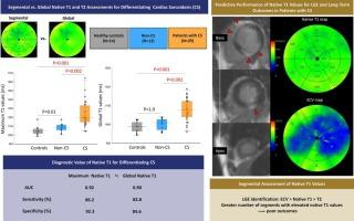 Clinical utility of segmental native T1 mapping for diagnosis and risk-stratification in cardiac sarcoidosis