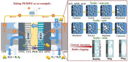 Multi-scale modeling of the multi-phase flow in water electrolyzers for green hydrogen production