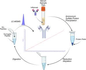 LC-MS/MS method for quantifying the HIV-1 broadly neutralizing antibody PGT 121.414.LS in human serum