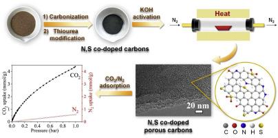 N, S Co-doped porous carbons from coconut shell for selective CO2 adsorption