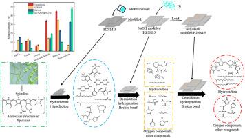 Synergistic catalytic upgrading of spirulina bio-oil via Ni @ alkali-modified HZSM-5 in microwave-assisted two-stage hydrothermal liquefaction