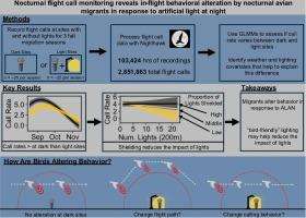 Nocturnal flight call monitoring reveals in-flight behavioral alteration by avian migrants in response to artificial light at night