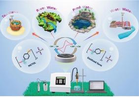 Tweaking the electrocatalytic efficiency of sonochemically synthesized Bi2S3 nanorods through decoration with f-MWCNTs: A selective on-site detection of METOL in environmental samples