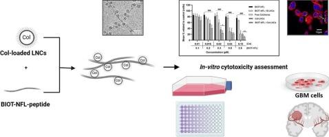 Development of a potential nano-based delivery system combining Colchicine-loaded lipid nanocapsules and BIOT-NFL-peptide to target glioblastoma