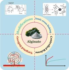 Modified alginates for precision drug delivery: Advances in controlled-release and targeting systems