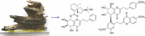 Two unprecedented 2-(2-phenethyl)chromone derivatives with anti-Helicobacter pylori and anti-inflammatory activities from agarwood of Aquilaria crassna