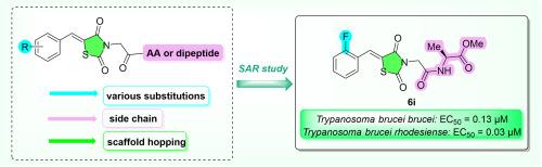 Thiazolidinones and related analogues as efficient antitrypanosomal agents