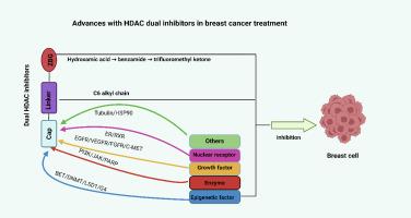 Advances of HDAC dual inhibitors in breast cancer treatment