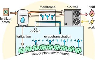 Energy efficiency of using a novel fertilizer-based liquid desiccant system to dehumidify indoor plant environments: An experimental analysis