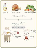 Dietary vitamin E intake is associated with lower mortality among individuals with metabolic dysfunction-associated steatotic liver disease