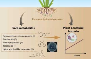 Root specialized metabolites shape plant-beneficial bacterial communities to mitigate hydrocarbon stress
