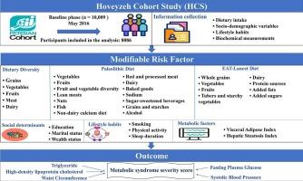 Untangling the role of diet quality and other risk factors in the severity of metabolic syndrome: Insights from the Hoveyzeh Cohort study using structural equation modeling