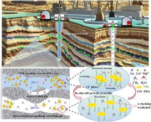 Experimental and molecular simulation study of in-situ self-growing nano-liquid crystal for smart water management in natural gas reservoirs