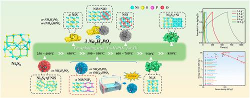 Phase evolution governed by phosphorization thermodynamics enabling an integrated NiS/NiP2 electrode with enhanced pseudocapacitive performance