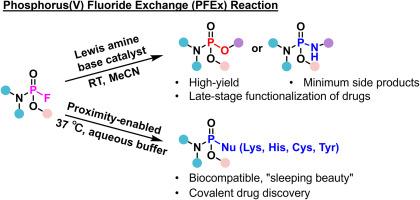 Phosphorus fluoride exchange chemistry: An emerging strategy for covalent drug discovery