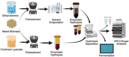 Comparison of the efficacy of a biocompatible and a distillable solvent for pretreatment of mixed bioenergy feedstocks
