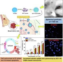Design of peptide functionalized nitrogen doped graphene quantum dots for theranostic application in breast cancer