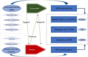 Assessing the spatiotemporal effects of human activity intensity on ecosystem health using VORS and spatial models: Evidence from the e Yellow River Deltaeconomic zone