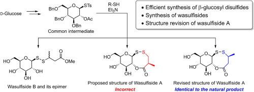 Synthesis and structure revision of wasulfisides: glucosyl disulfides isolated from wasabi