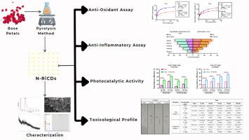Biofunctional and ecotoxicological assessment of Rosa indica derived nitrogen-doped Carbon Dots: A new frontier for sustainable nanomaterials