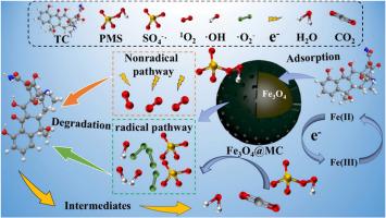 Core-shell Fe3O4@mesoporous carbon composite for tetracycline degradation via peroxymonosulfate activation