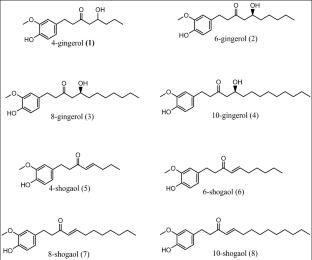 Insights into biological activities profile of gingerols and shogaols for potential pharmacological applications