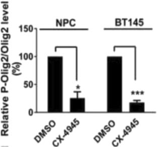 Epigenetic Regulation of OLIG2 in Glioblastoma: Mechanisms and Therapeutic Targets to Combat Treatment Resistance