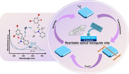 Rewritable Polymer Optical Waveguide Chip Based on Photoisomerization Feature of Photosensitive Chromophore