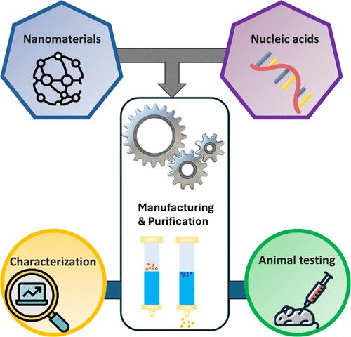 Recent Developments of RNA Vaccines and Therapeutics: Reagents, Formulations, and Characterization