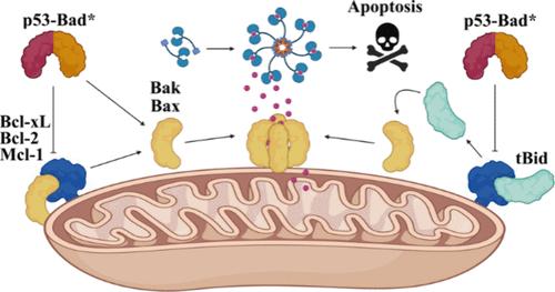 Mitochondrially Targeted p53-Bad* Fusion Gene Therapy Promotes Apoptosis in Hepatocellular Carcinoma by Pan-Bcl-2 Inhibition