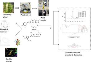 Experimental and computational approach to develop Rosmarinic acid against insulin resistance in the treatment of diabetes mellitus via PPAR-γ agonism