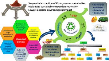 A sustainable ultrasonic and microwave-assisted sequential extraction strategy of metabolites from Porphyridium sp.