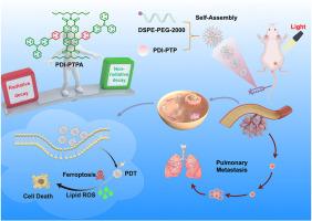 Frustrated molecular stacking enables NIR perylenediimide photosensitizers with balanced energy dissipation pathways for tumor photodynamic therapy