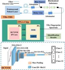 On-chip intelligent terahertz sensing platform for real-time intelligent biochemical identification