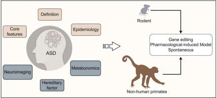 The utilization of non-human primates in the investigation of autism spectrum disorder