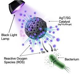 Ag/TiO2 photocatalysts: A promising tool in combating bacterial resistance