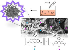 Systematic optimization of alginate gelation parameters in the synthesis of oleaster-based magnetic granules for enhanced binary cationic dye removal