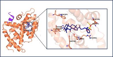 Structural Basis of Novel Bile Acid-Based Modulators of FXR