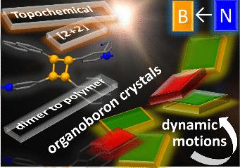 Photomechanical B←N Molecular Crystals: From Single-Crystal-to-Single-Crystal [2 + 2] Photodimerization to Polymerization