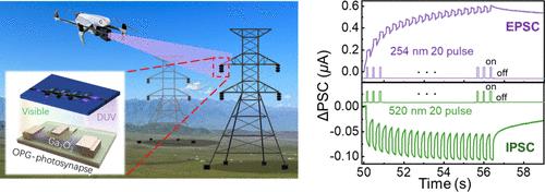 Multispectral In-Sensor Computing for Image Recognition Based on the Opposite Photogating Photosynapse
