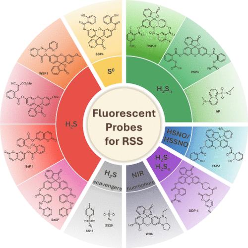 Activity-Based Fluorescent Probes for Reactive Sulfur Species