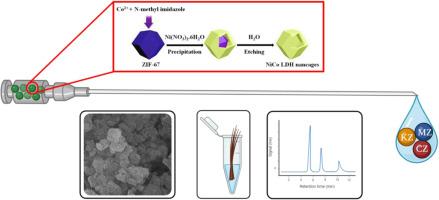 Multiple-shell amorphous Co/Ni-(PO4)x(OH)y hollow layered double hydroxide for enhanced extraction of some azole antifungals from biological samples