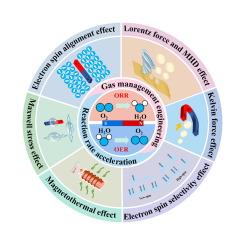 Harnessing magnetic fields for oxygen electrocatalysis enhancement